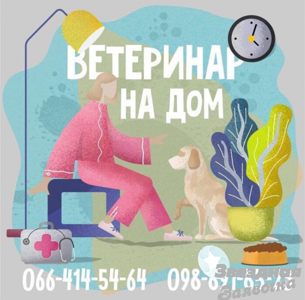 Ветеринар на дом в Харькове