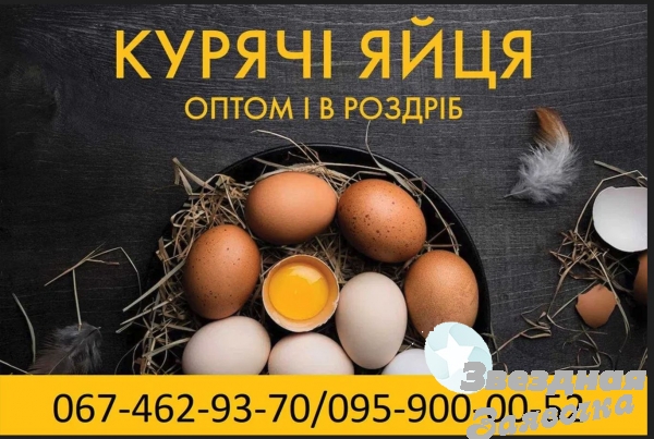 Яйця курячі столові різних категорій від
