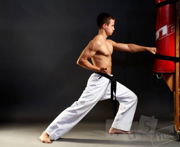 Индивидуальная программа тренировок по боевым искусствам
